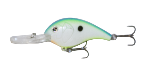 Citrus Shad 