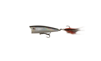 Click to enlarge