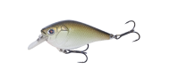 Copper Green Shad 