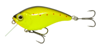 Click to enlarge