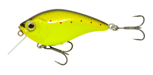 Copper Perch 