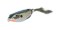 Gill