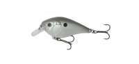 Green Gizzard Shad 