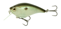Green Gizzard Shad 