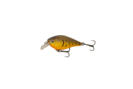Orange Belly Craw 