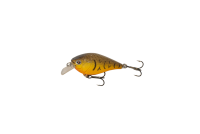 Orange Belly Craw 