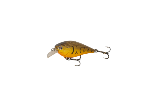Orange Belly Craw 