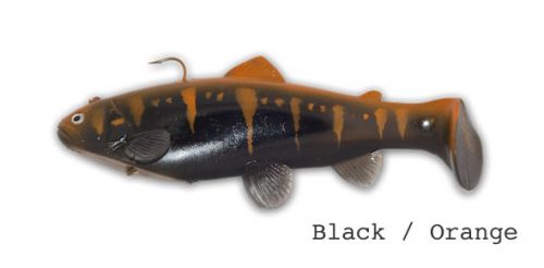 CASTAIC:SBT 4