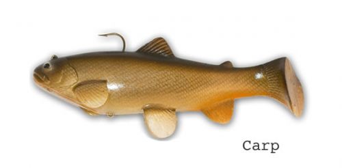 CASTAIC:SBT 4