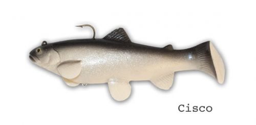 CASTAIC:SBT 4