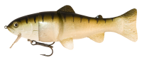 Click to enlarge